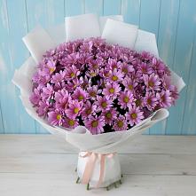 Букет цветов из:  Хризантемы в Воронеже