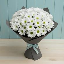 Букет цветов из:  Хризантемы в Воронеже